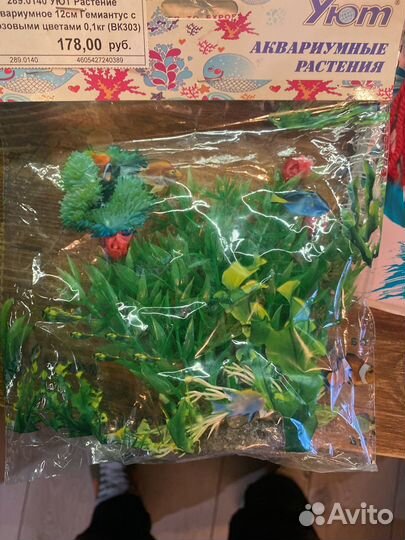 Водоросли доя аквариума