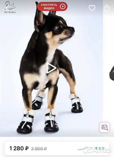 Ботинки зимние для собак