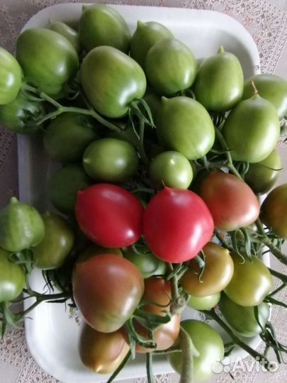 Семена томатов сорт Гибрид 6, виноградные и Аурия