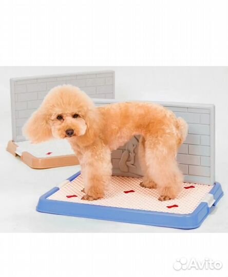 Лоток туалет для собак L 675228 см