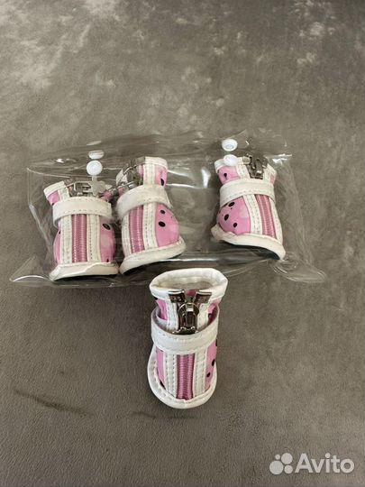 Ботинки для собак мелких пород. Осень, весна