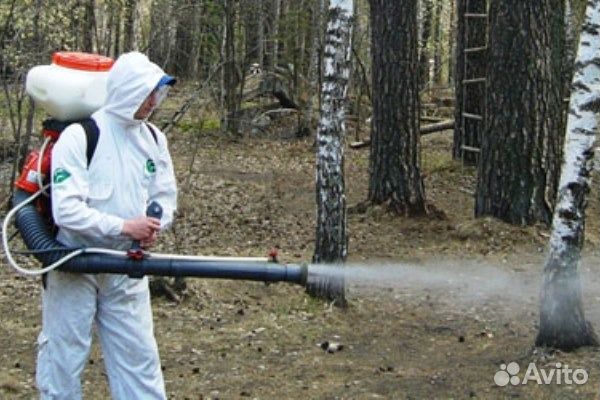 Дезинфектор