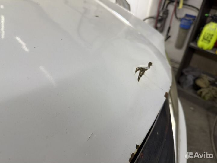 Капот рено логан