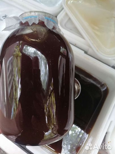 Мед гречка 2023. Гречишный мёд 3 литра