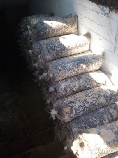 Удобрение/Мульча/Биогумус из грибных блоков