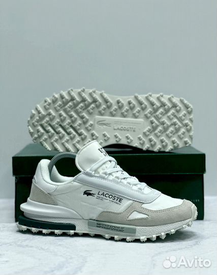 Кроссовки Lacoste современные