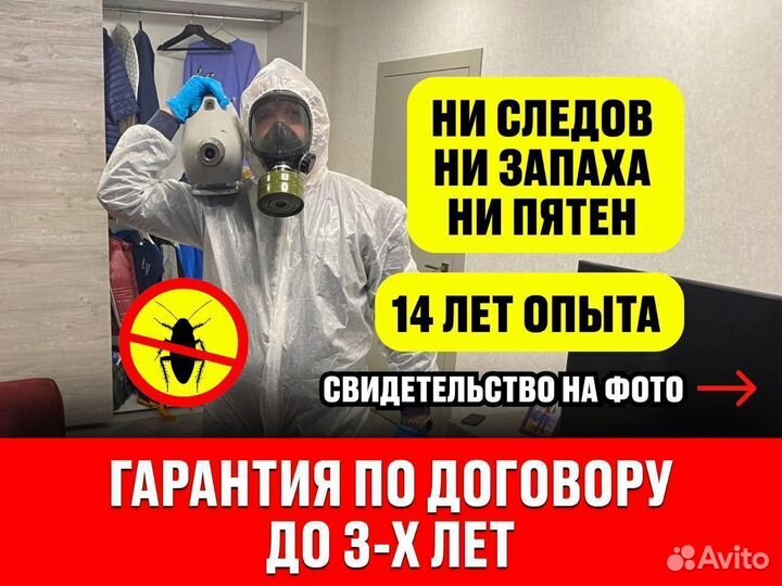Дезинфекция тараканов с гарантией