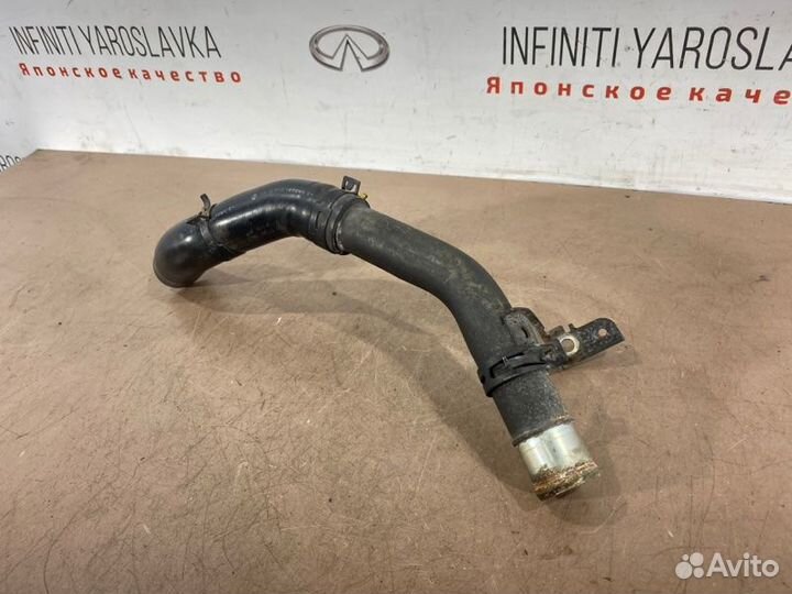 Патрубок радиатора Infiniti Qx80 Qx56 Z62 VK56VD