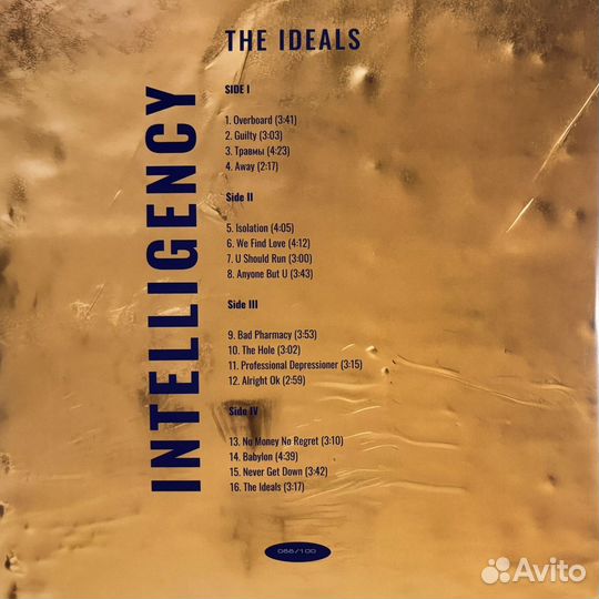 Виниловая пластинка Intelligency - The Ideals