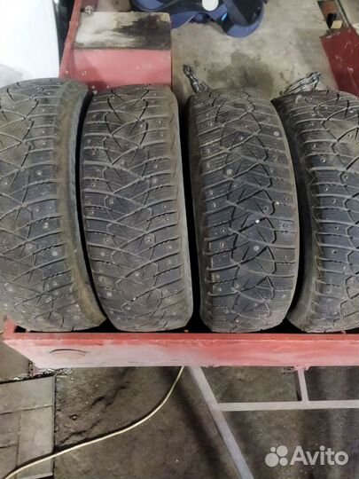 Dunlop All Season Maxx AS1 195/65 R15