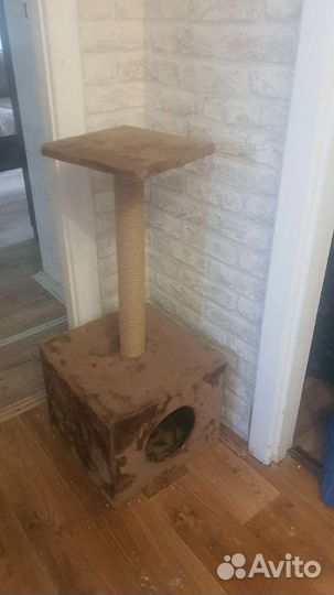 Домик для кошки с когтеточкой бу