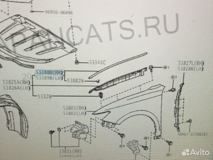 Уплотнитель переднего крыла правый
