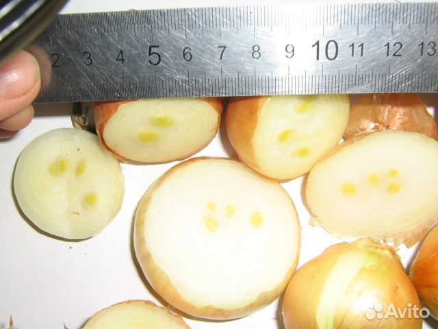 Лук на перо стардаст