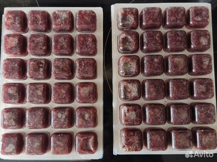 Мотыль средний, мелкий