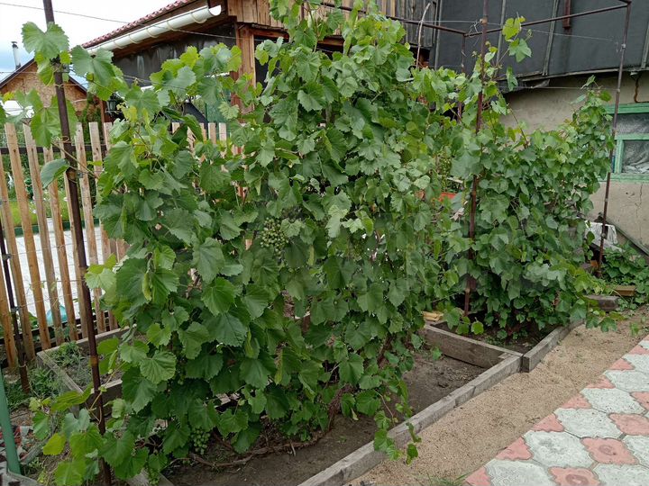 Дача 25 м² на участке 5,9 сот.