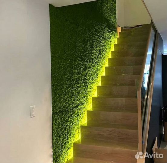 Стена из мха с подсветкой