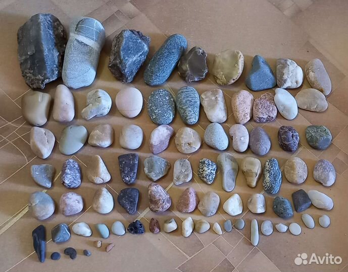 Ракушки и камни для украшения