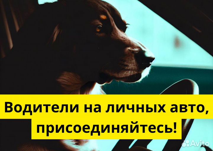 Ваш т/с – ваша работа в Яндекс Go