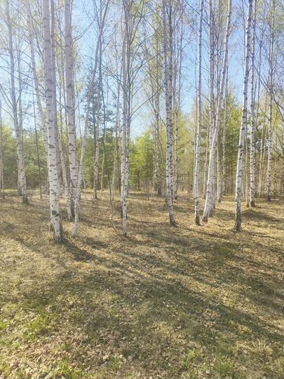 Участок 2 га (СНТ, ДНП)