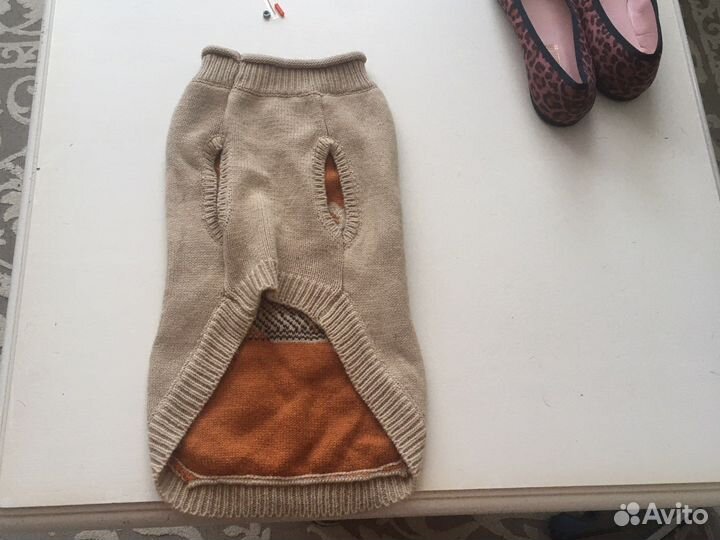 Собачья одежда