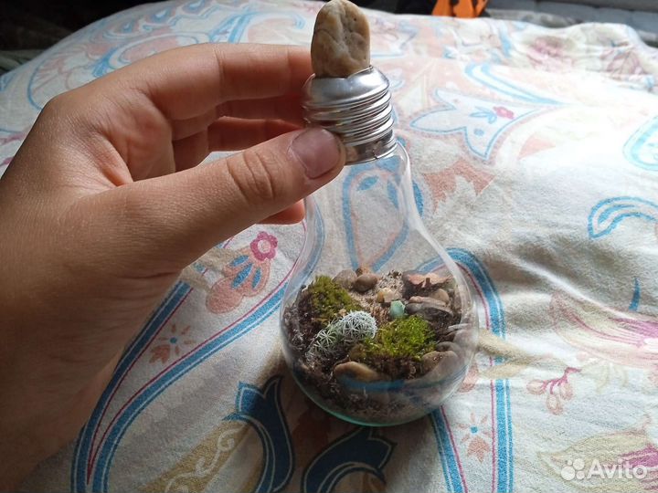 Вечный терариум