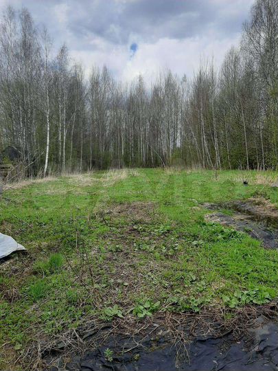 Участок 15 сот. (ИЖС)