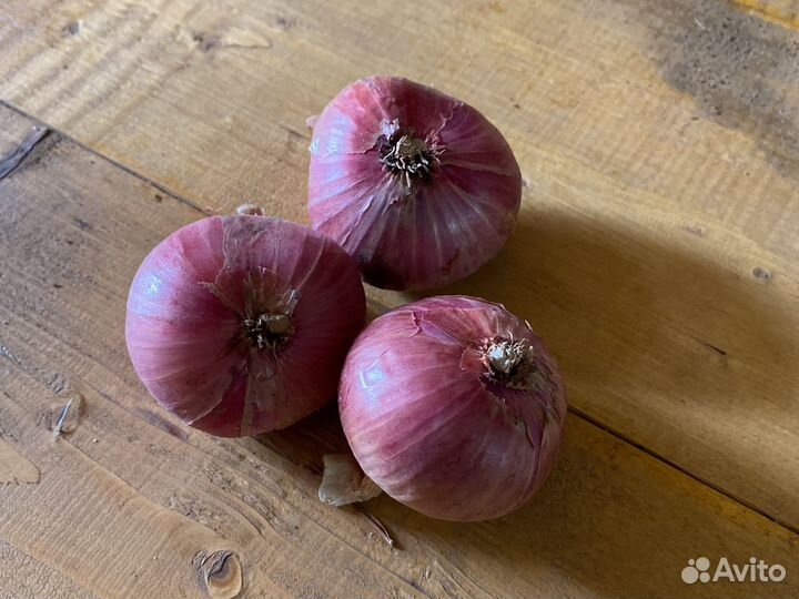 Лук красный