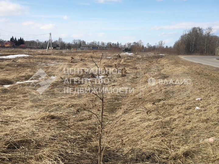 Участок 19,6 сот. (СНТ, ДНП)