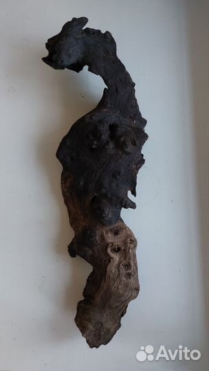 Коряга в аквариум (натуральное дерево)