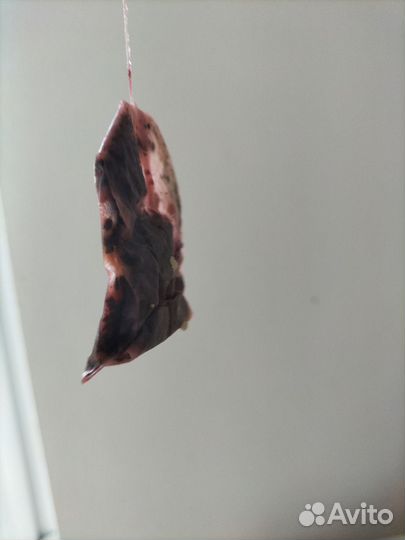 Пакетик чая б/у