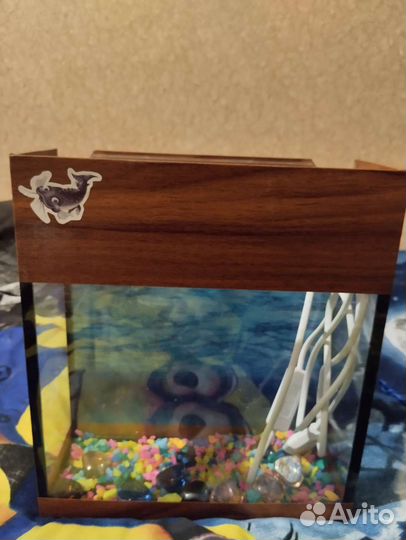 Аквариум