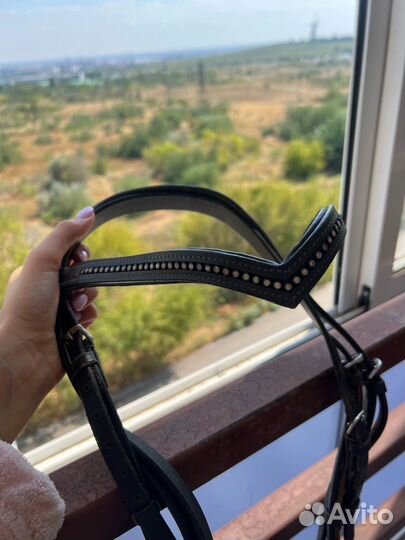 Амуниция для лошади