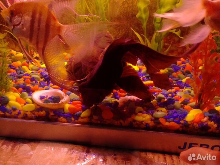 Украшение для аквариума