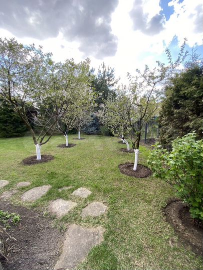 Дом 310 м² на участке 8 сот.