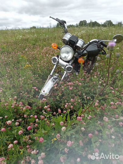 Альфа 72 куба