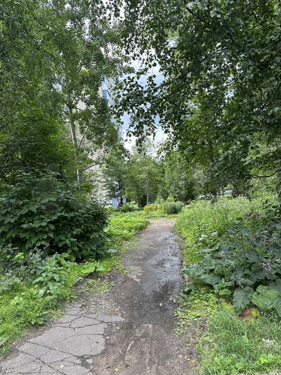 1-к. квартира, 30,7 м², 1/9 эт.