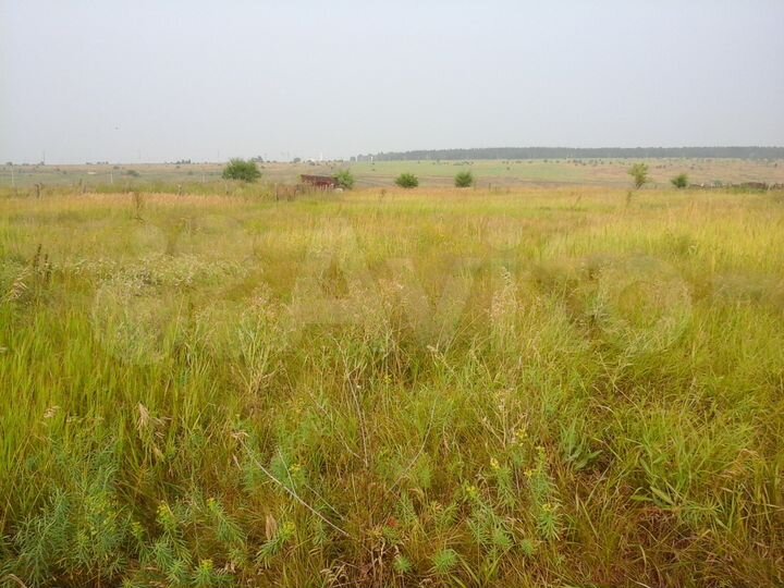 Участок 6 сот. (ИЖС)