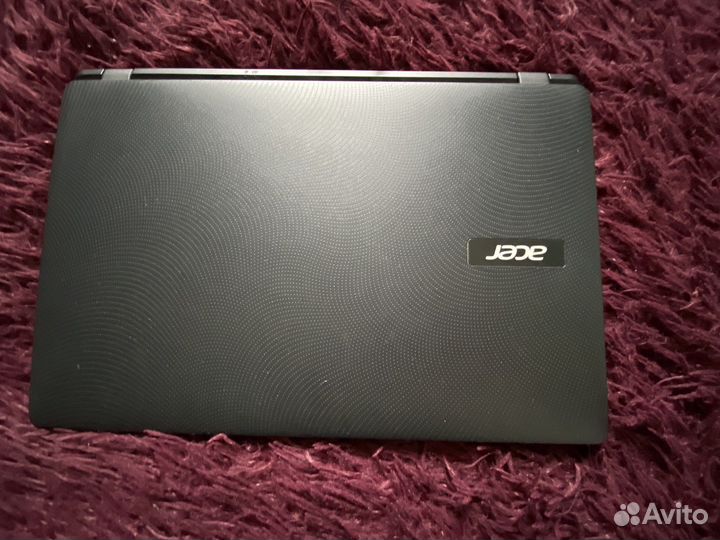 Acer extensa