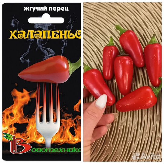 Самые острые перчики (рассада)