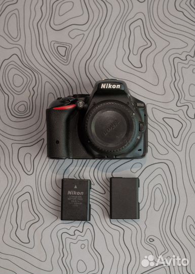 Фотоаппарат Nikon d5500