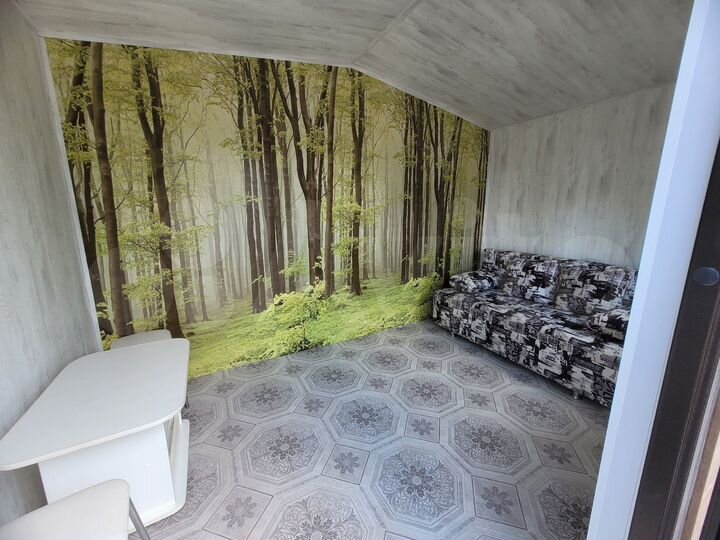 Комната 10 м² в 1-к., 1/1 эт.