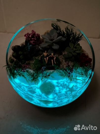 Флорариум с суккулентами