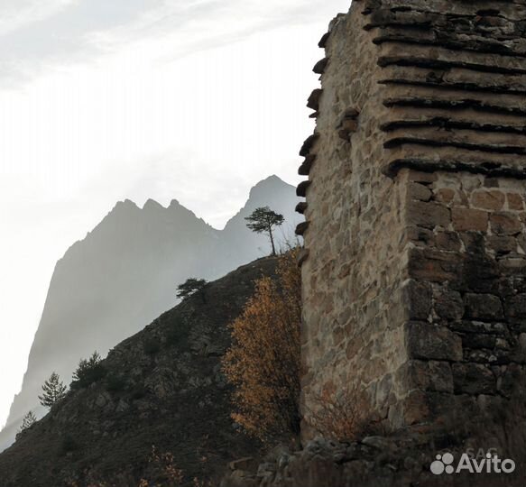Видео оператор, монтажер, фотограф