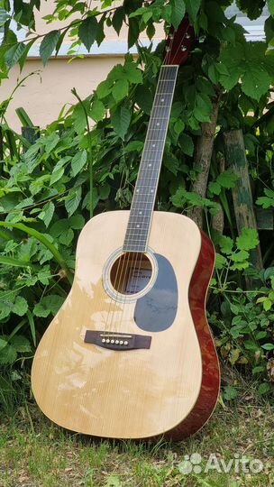 Электроакустика новая Caraya