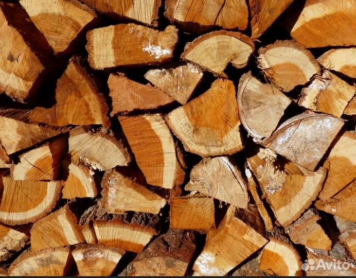 Дрова береза