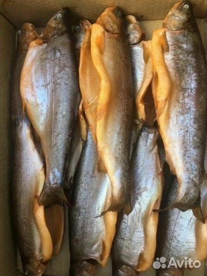 Форель копчёная