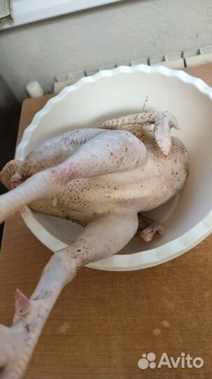 Мясо молодых петушков