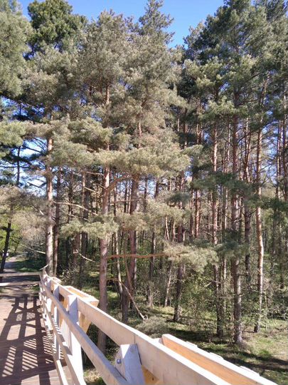 2-к. квартира, 75 м², 1/2 эт.