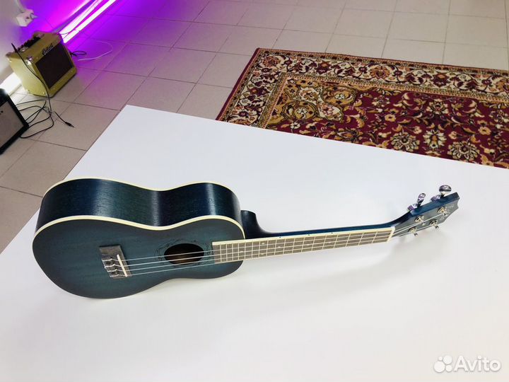 Укулеле Концерт Новая