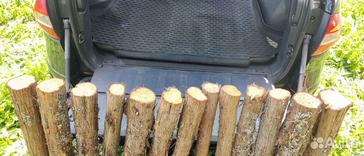 Бревна можжевельника все размеры